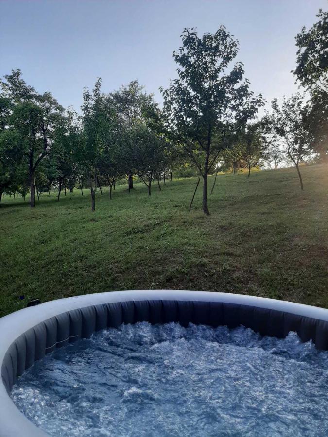 Country House Stoljetna Vila Seona Dış mekan fotoğraf
