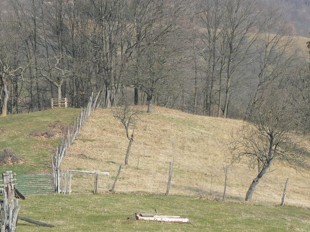 Country House Stoljetna Vila Konuk evi Seona Dış mekan fotoğraf